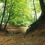 Het Witte Huis ホテル