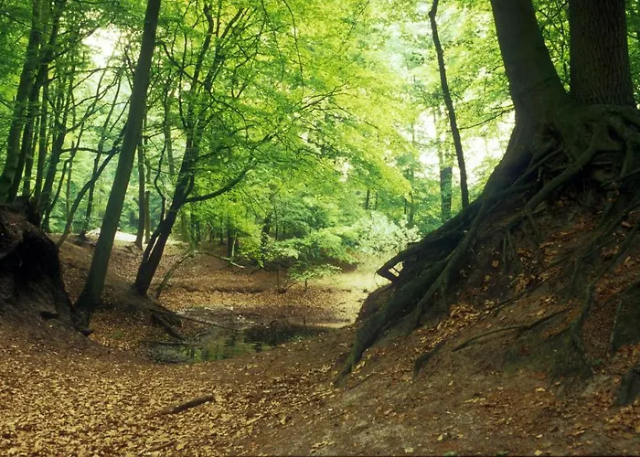 Het Witte Huis Отель